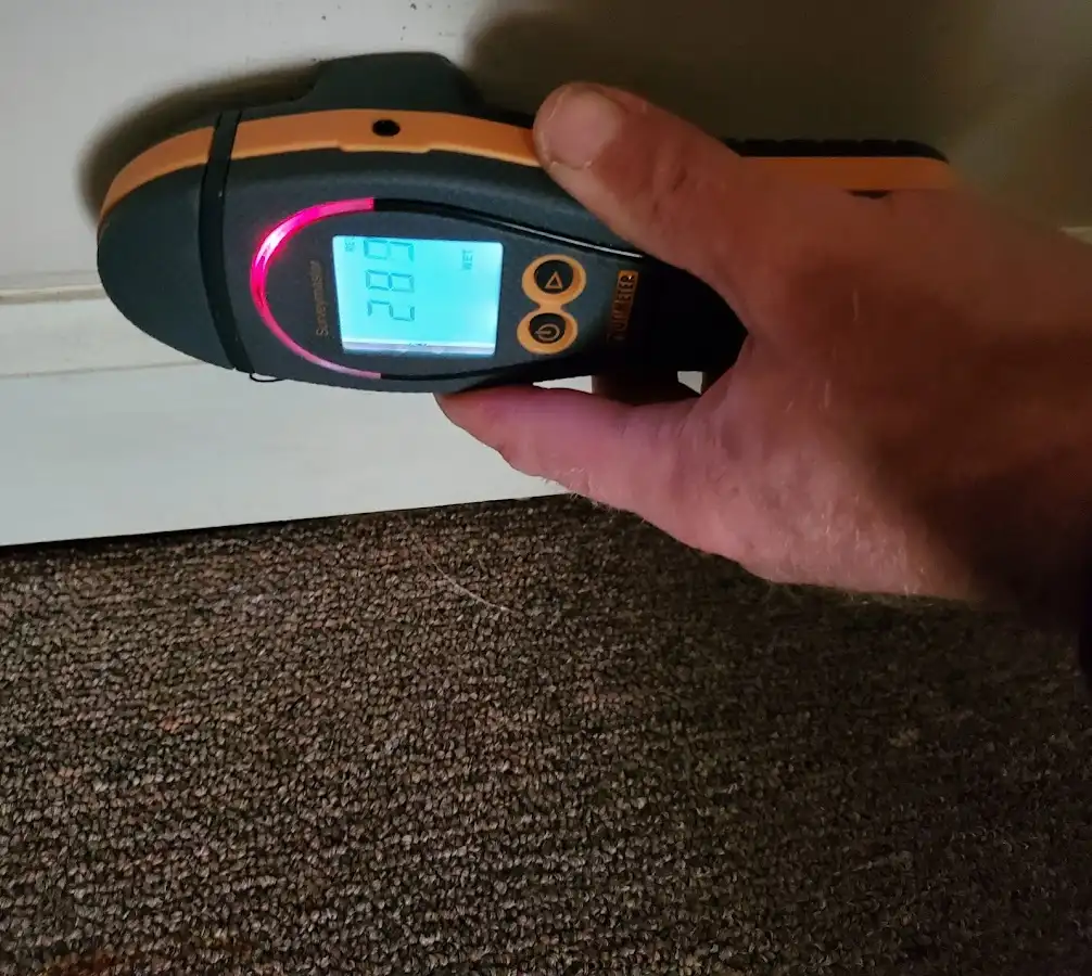 Moisture detection at baseboard during Sewage Cleanup & Sanitation in Gardendale
